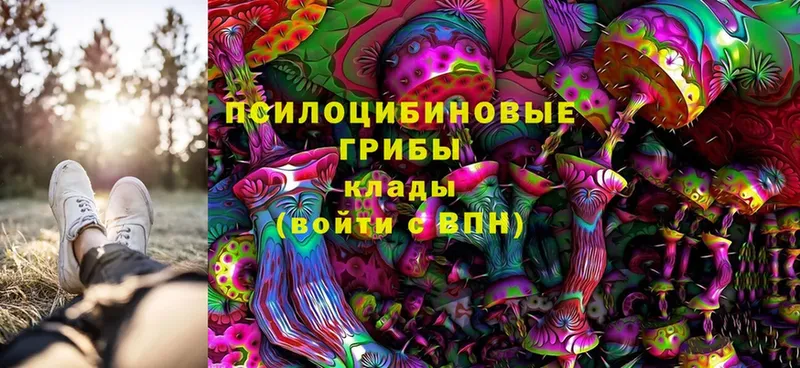 Галлюциногенные грибы Magic Shrooms  цена   Киржач 